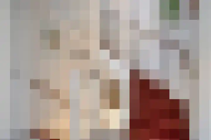 Kapitein Boscampbrink 9 Halsteren thumbnail 18