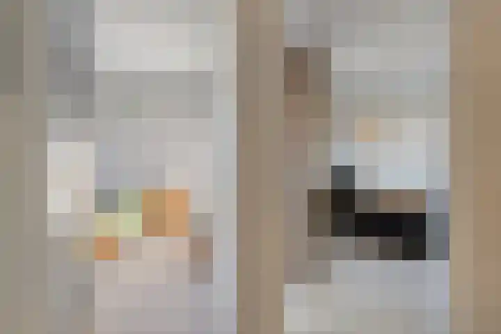 Kapitein Boscampbrink 9 Halsteren thumbnail 21