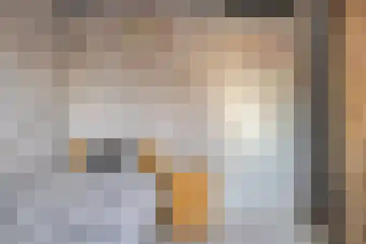 Kapitein Boscampbrink 9 Halsteren thumbnail 22