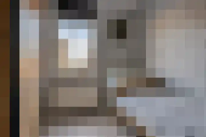 Kapitein Boscampbrink 9 Halsteren thumbnail 23