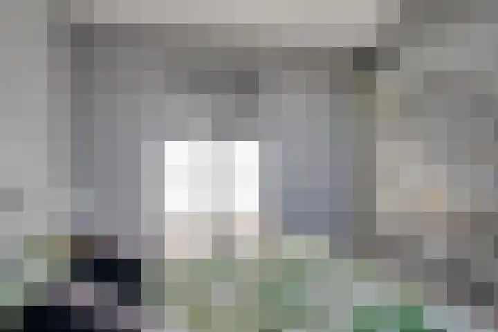 Kapitein Boscampbrink 9 Halsteren thumbnail 24