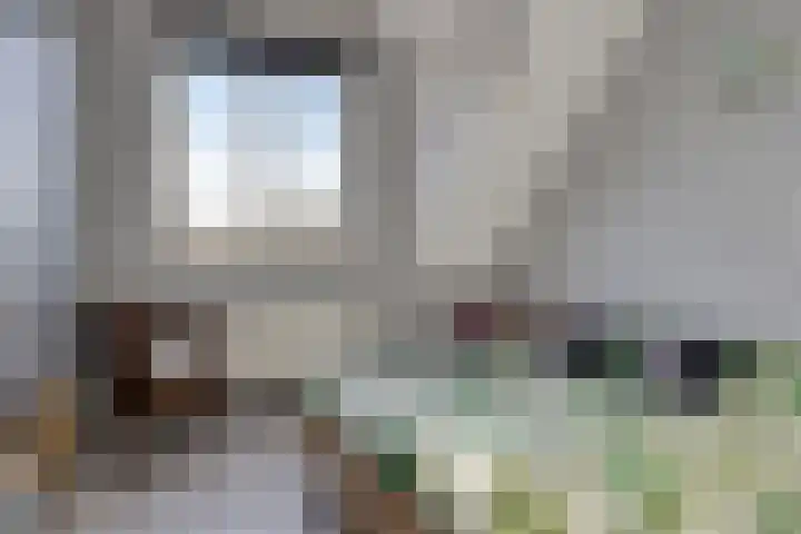Kapitein Boscampbrink 9 Halsteren thumbnail 26
