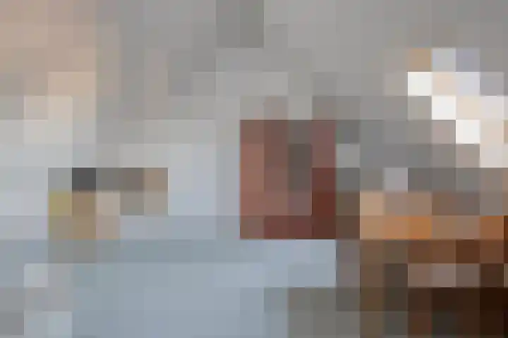 Kapitein Boscampbrink 9 Halsteren thumbnail 32