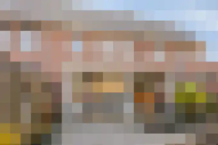 Kapitein Boscampbrink 9 Halsteren thumbnail 37