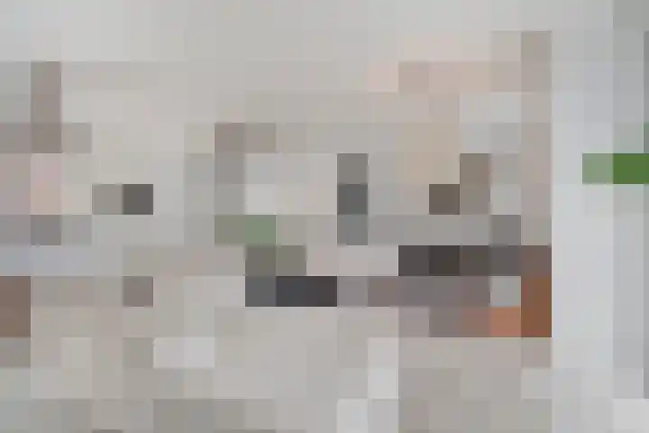 Kapitein De Haasstraat 5 Halsteren thumbnail 10