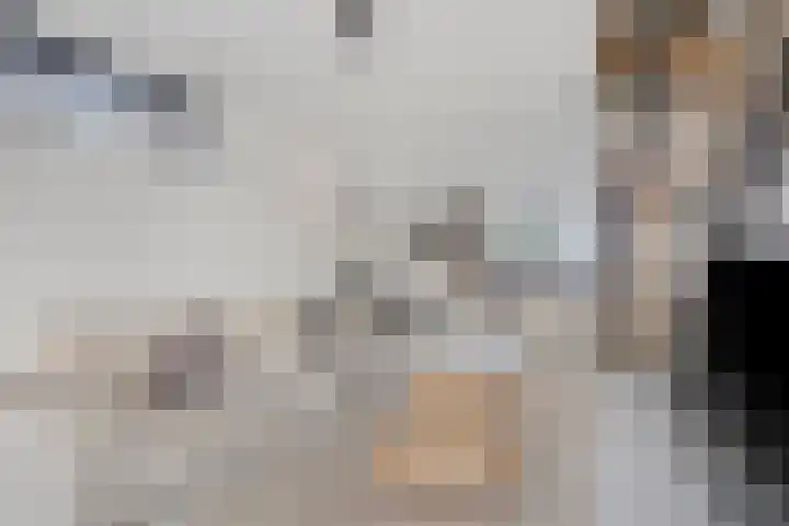 Kapitein De Haasstraat 5 Halsteren thumbnail 11