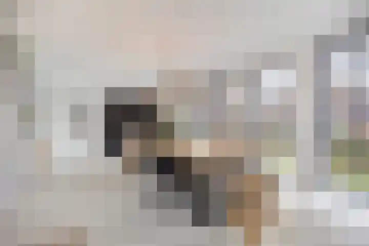 Kapitein De Haasstraat 5 Halsteren thumbnail 12