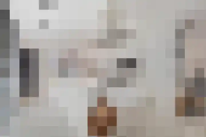Kapitein De Haasstraat 5 Halsteren thumbnail 14