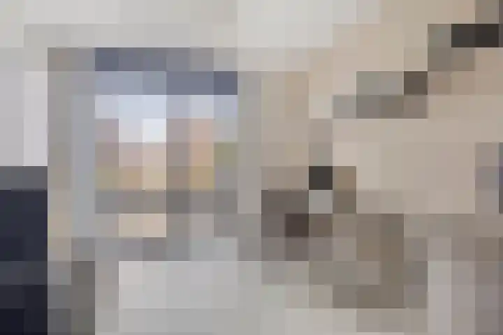 Kapitein De Haasstraat 5 Halsteren thumbnail 15