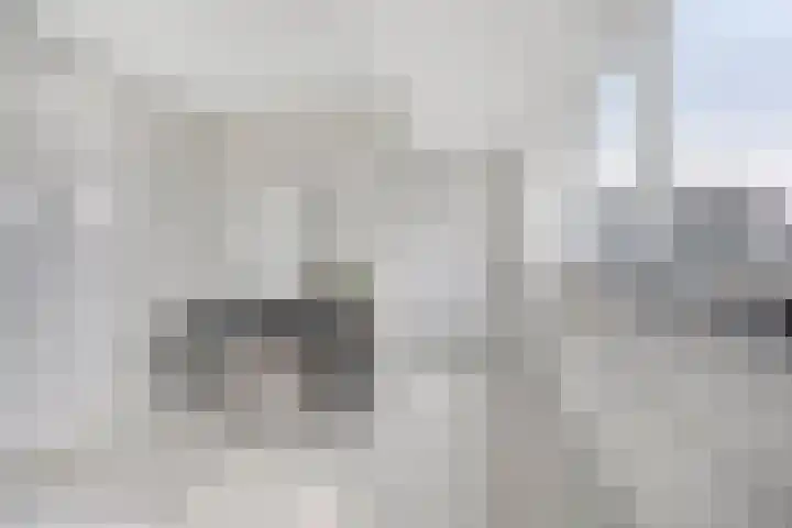 Kapitein De Haasstraat 5 Halsteren thumbnail 17