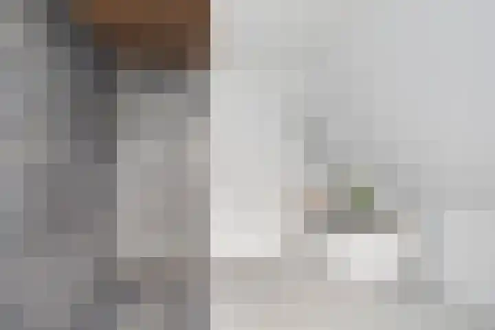 Kapitein De Haasstraat 5 Halsteren thumbnail 19