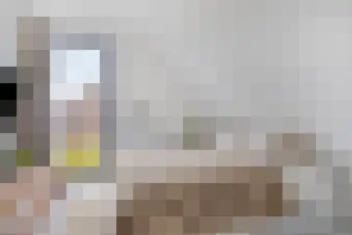 Kapitein De Haasstraat 5 Halsteren thumbnail 21