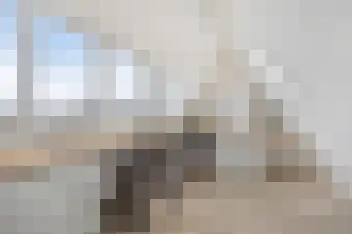 Kapitein De Haasstraat 5 Halsteren thumbnail 22