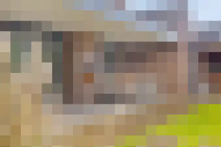 Kapitein De Haasstraat 5 Halsteren thumbnail 23