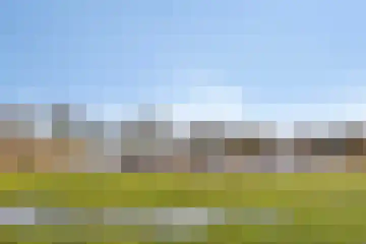 Kapitein De Haasstraat 5 Halsteren thumbnail 25