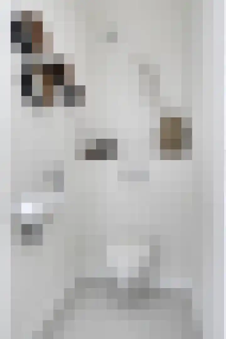 Kapitein De Haasstraat 5 Halsteren thumbnail 5