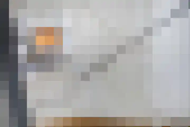 Kapitein De Haasstraat 5 Halsteren thumbnail 7