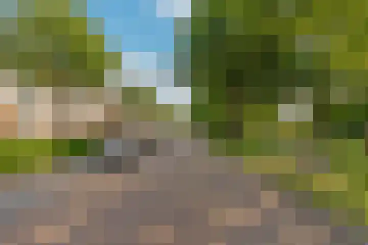 Kapitein de Langestraat 34 Almere thumbnail 38