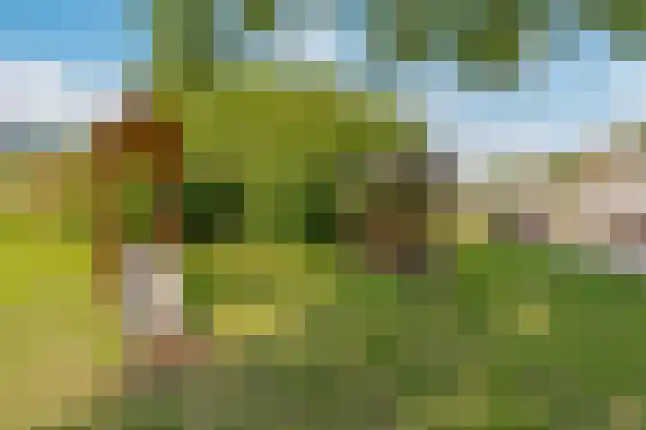 Kapitein de Langestraat 34 Almere thumbnail 39