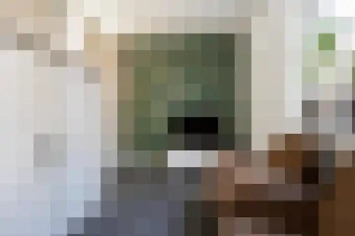 Kapitein H. van der Maadenstraat 1 d Wijk en Aalburg thumbnail 20