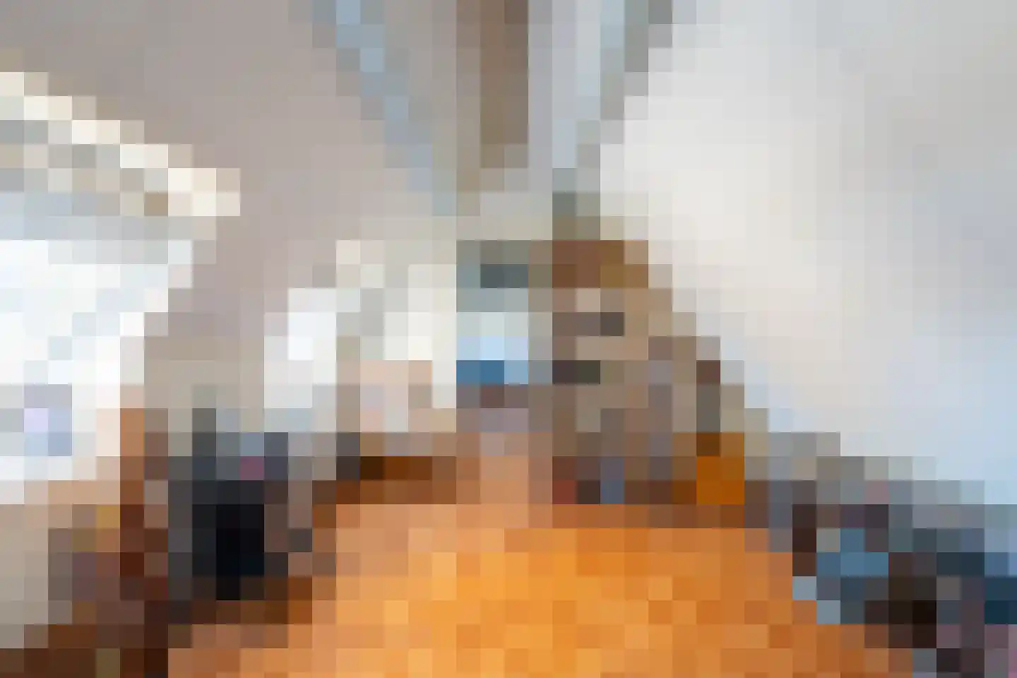 Kapitein H. van der Maadenstraat 14 Wijk en Aalburg thumbnail 33