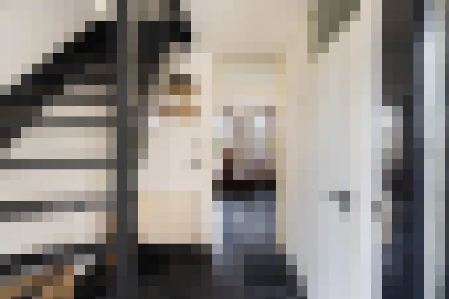 Kapitein H. van der Maadenstraat 14 Wijk en Aalburg thumbnail 8