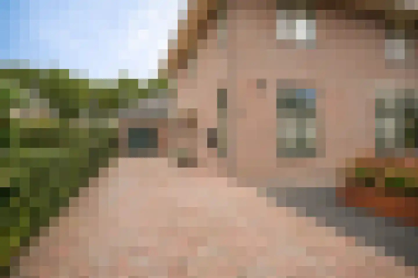 Kapitein H. van der Maadenstraat 30 Wijk en Aalburg thumbnail 41