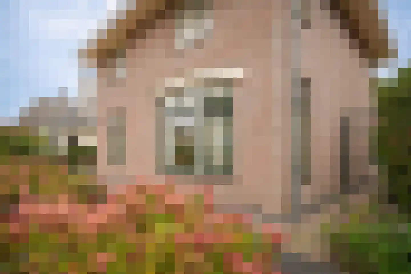 Kapitein H. van der Maadenstraat 30 Wijk en Aalburg thumbnail 44