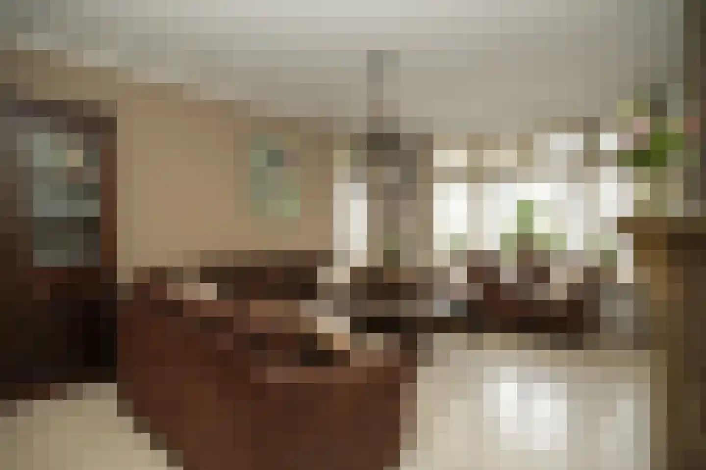 Kapitein H. van der Maadenstraat 30 Wijk en Aalburg thumbnail 6