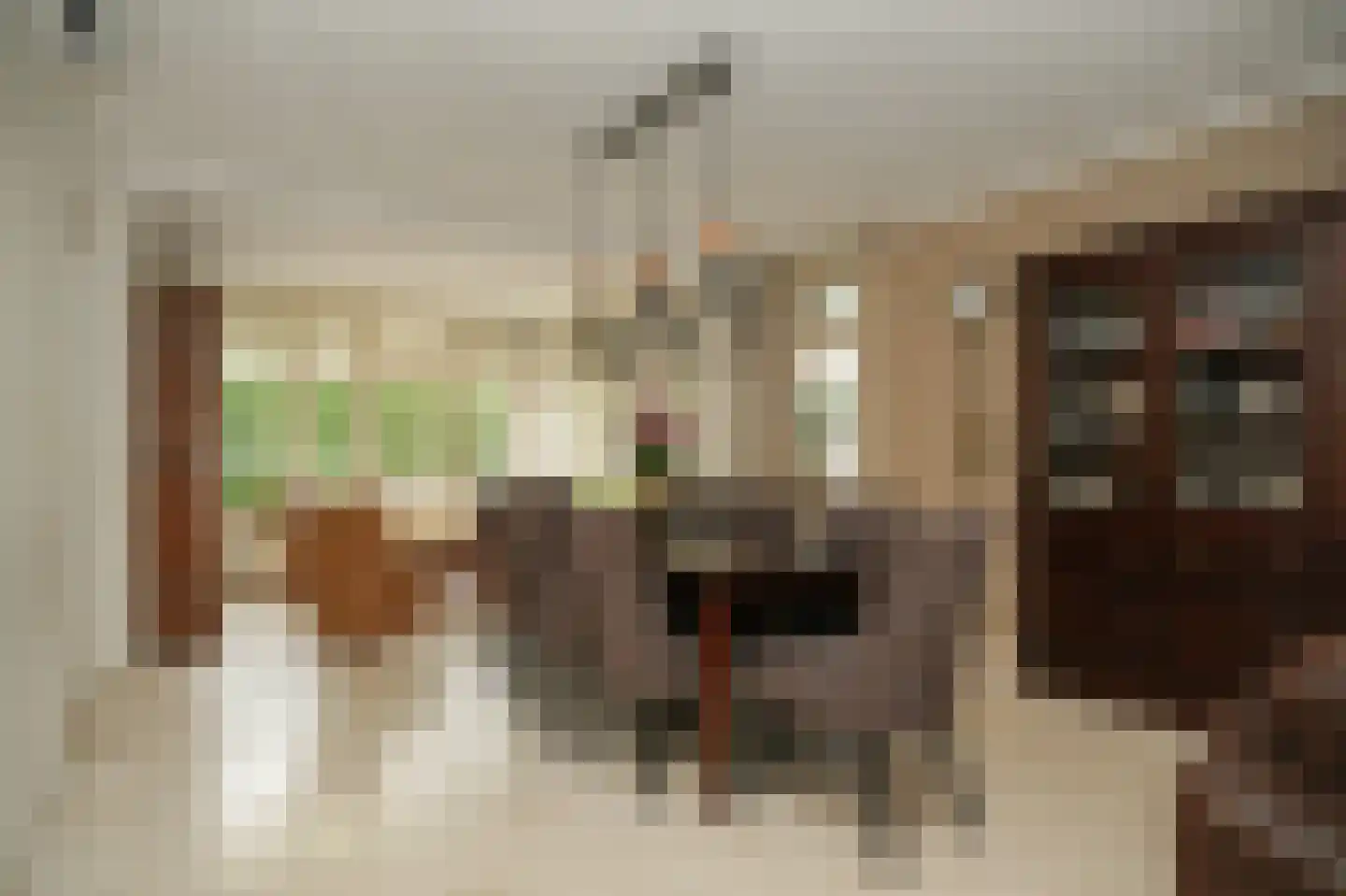 Kapitein H. van der Maadenstraat 30 Wijk en Aalburg thumbnail 9