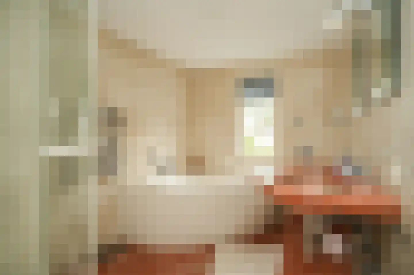 Kapitein H. van der Maadenstraat 40 Wijk en Aalburg thumbnail 32