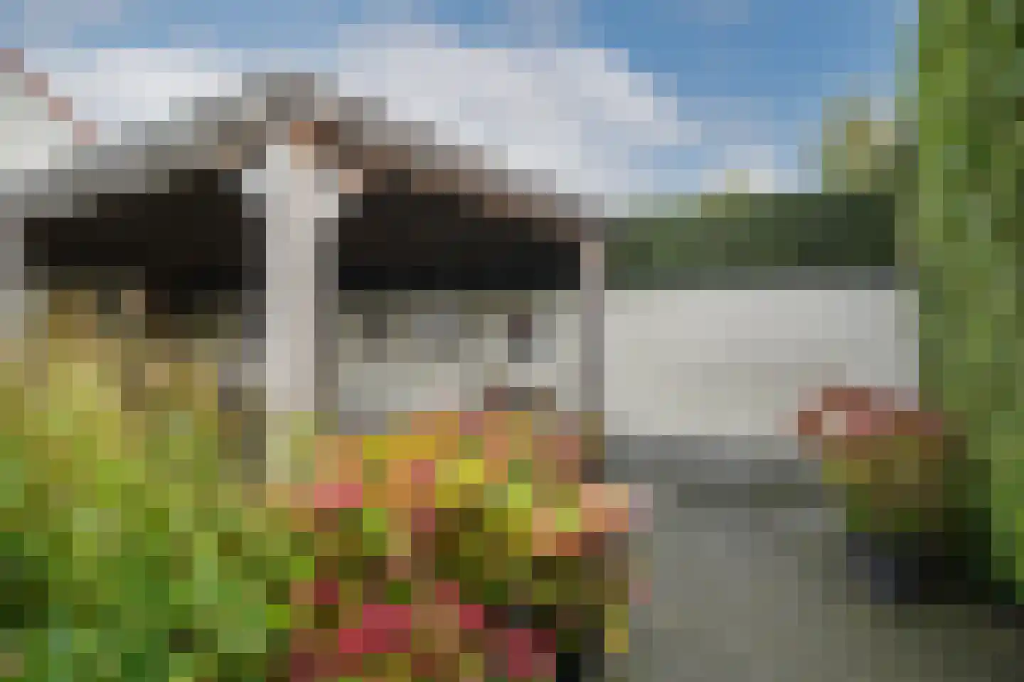 Kapitein H. van der Maadenstraat 40 Wijk en Aalburg thumbnail 50