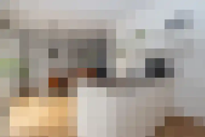 Kapitein Hazewinkelstraat 4 Veendam thumbnail 11