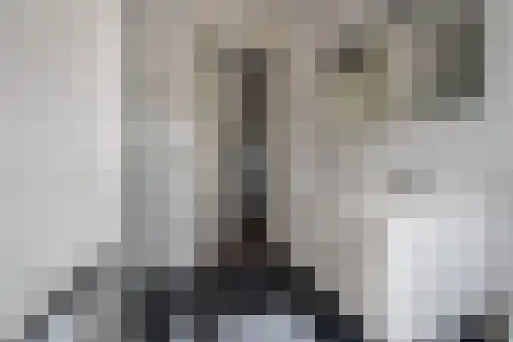 Kapitein Hazewinkelstraat 4 Veendam thumbnail 31