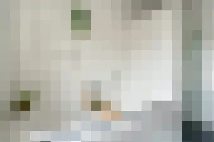 Kapitein Hazewinkelstraat 4 Veendam thumbnail 32