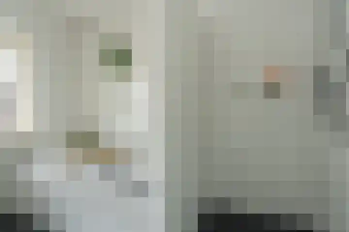 Kapitein Hazewinkelstraat 4 Veendam thumbnail 33