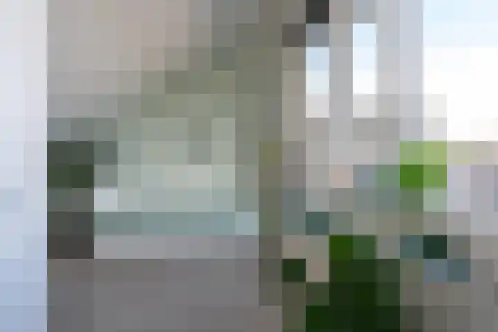 Kapitein Hazewinkelstraat 4 Veendam thumbnail 34
