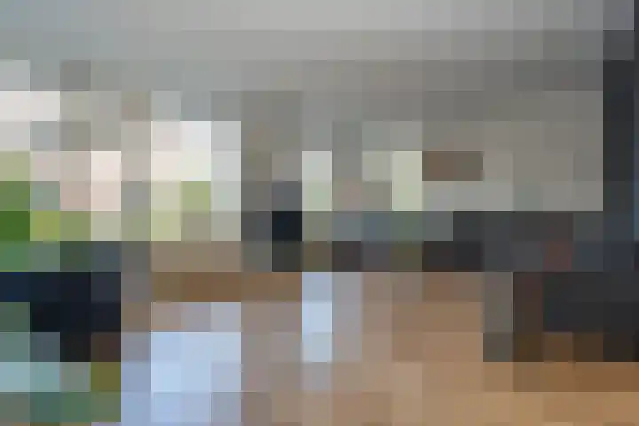 Kapitein Hazewinkelstraat 4 Veendam thumbnail 4