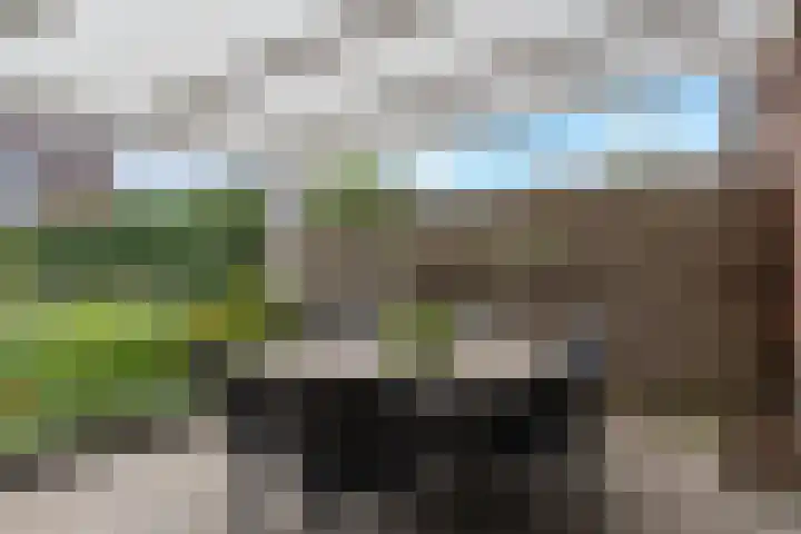 Kapitein Hazewinkelstraat 4 Veendam thumbnail 40
