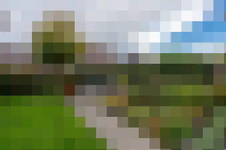 Kapitein Hazewinkelstraat 4 Veendam thumbnail 42
