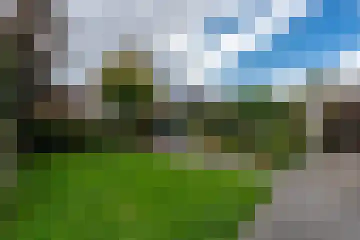 Kapitein Hazewinkelstraat 4 Veendam thumbnail 46