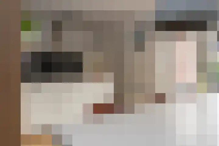 Kapitein Hazewinkelstraat 4 Veendam thumbnail 9
