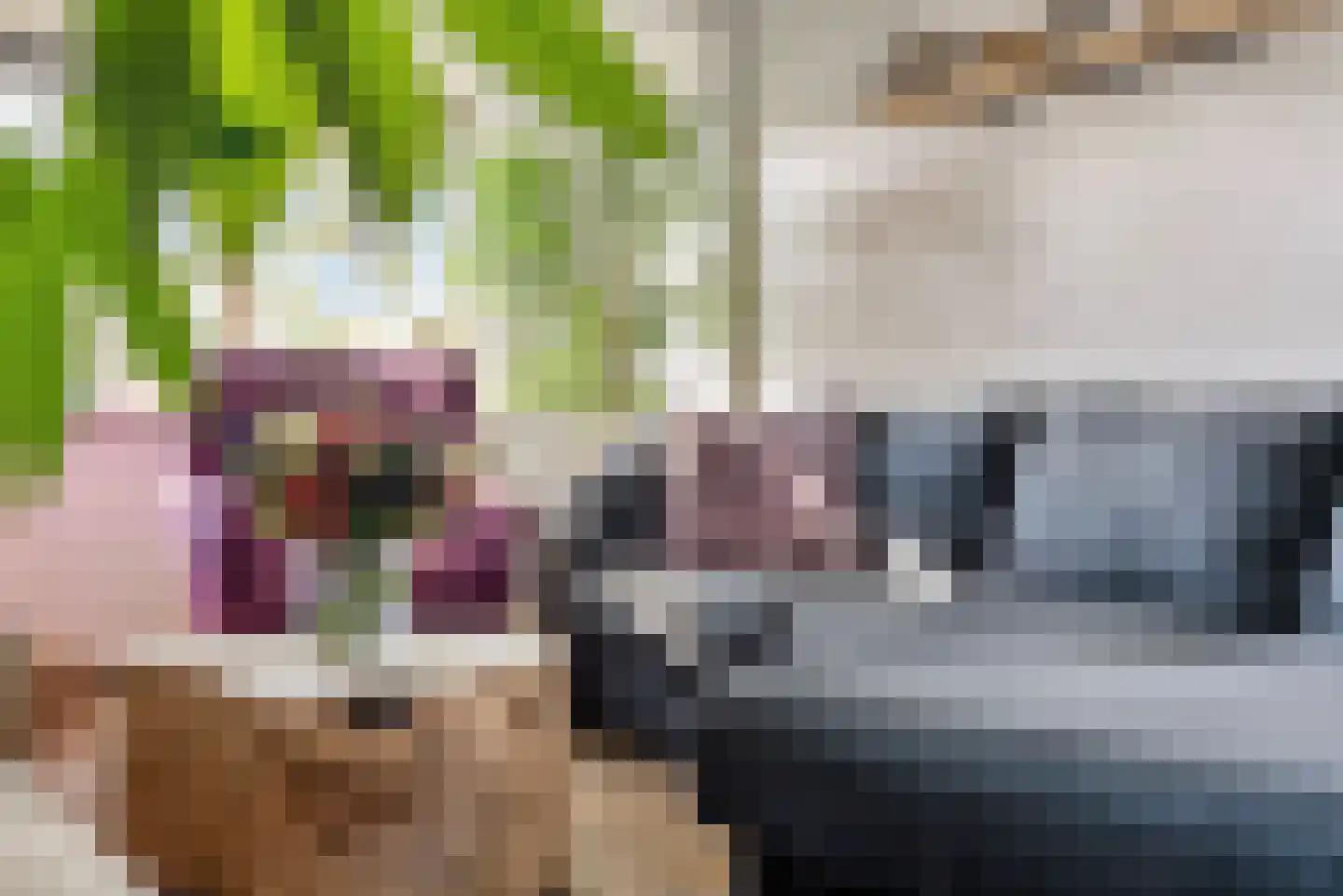 Kapitein Nemostraat 57 Tilburg thumbnail 10
