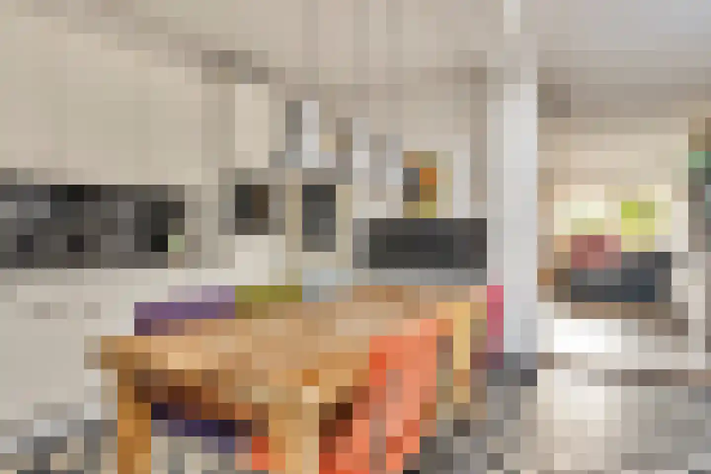 Kapitein Nemostraat 57 Tilburg thumbnail 13