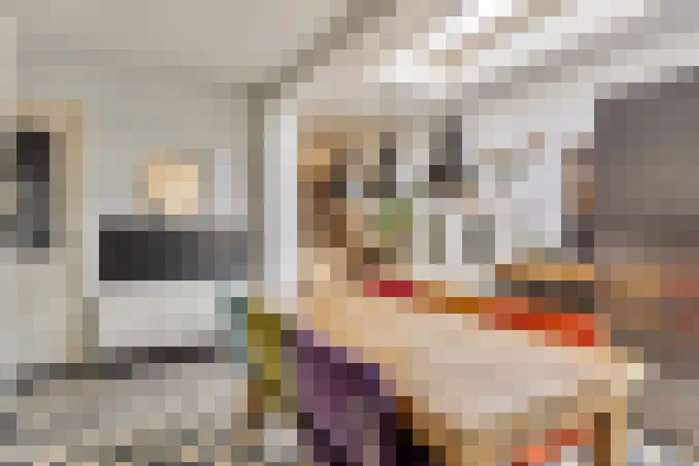 Kapitein Nemostraat 57 Tilburg thumbnail 15