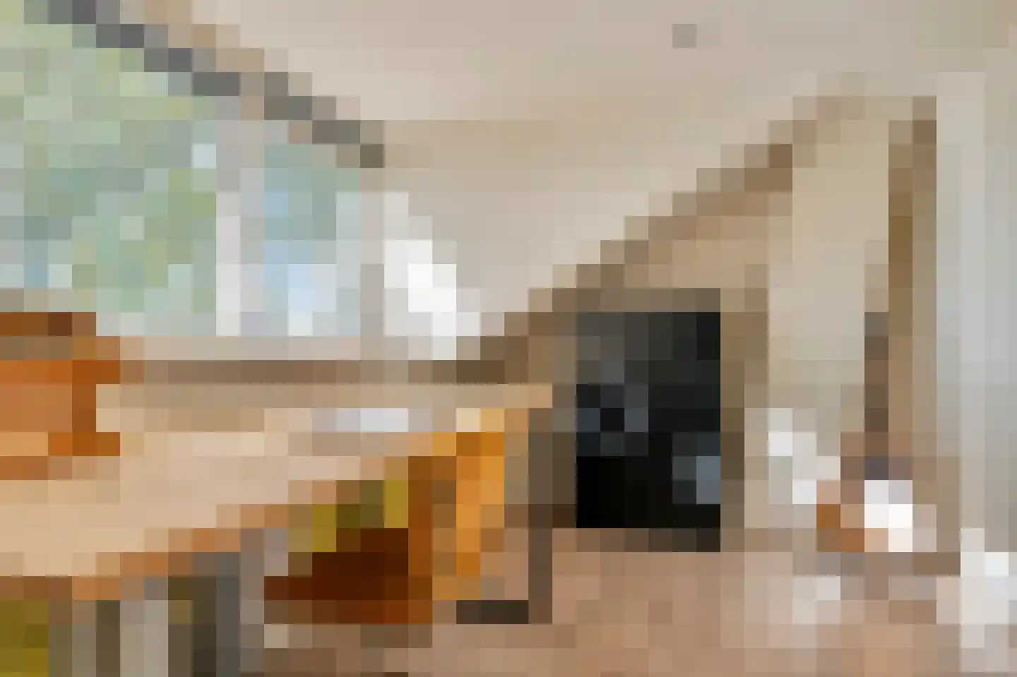 Kapitein Nemostraat 57 Tilburg thumbnail 30