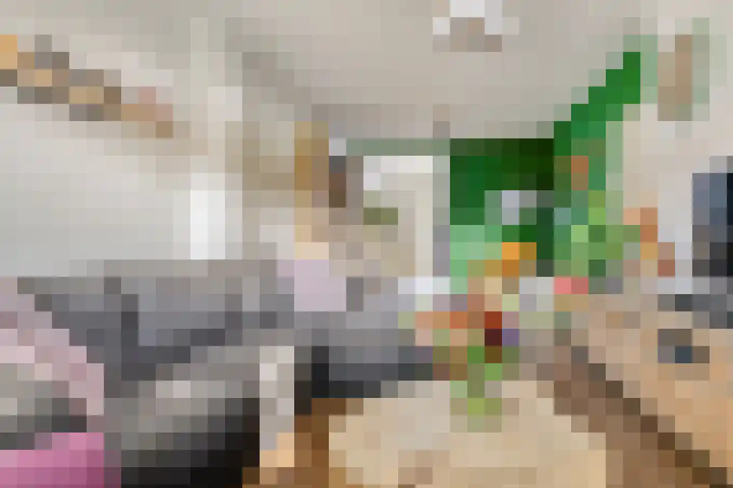Kapitein Nemostraat 57 Tilburg thumbnail 4