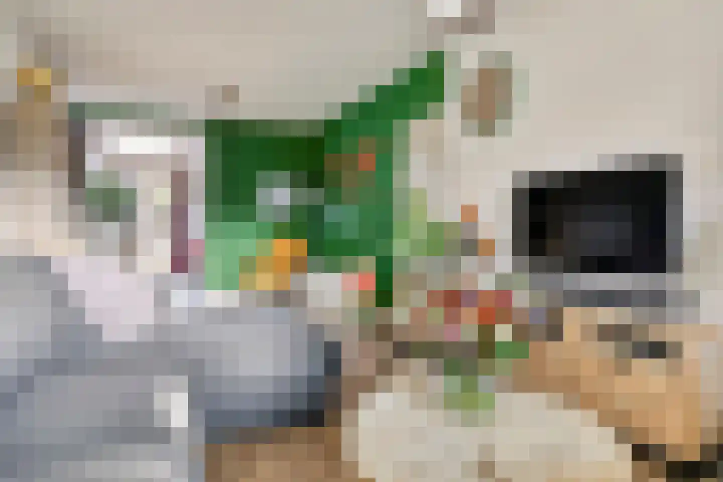 Kapitein Nemostraat 57 Tilburg thumbnail 7