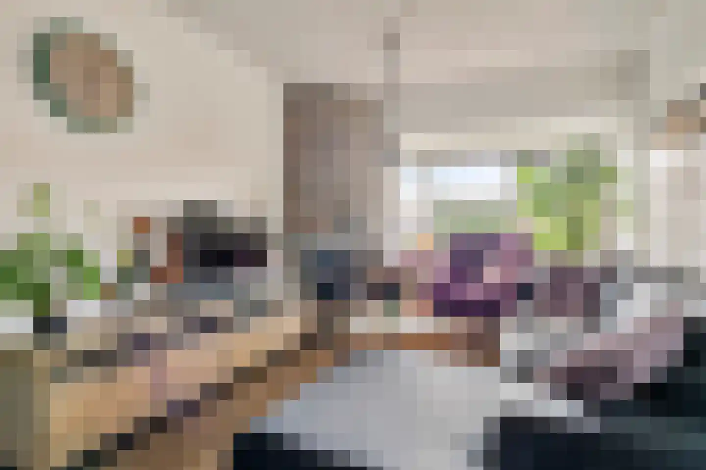 Kapitein Nemostraat 57 Tilburg thumbnail 9