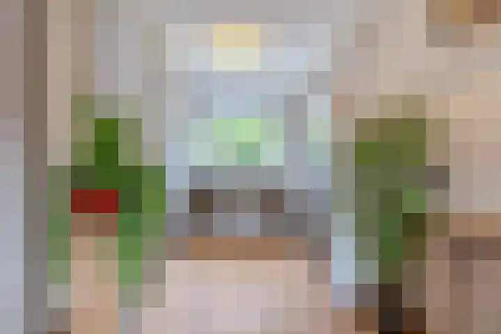 Kapitein Nemostraat 97 Tilburg thumbnail 17